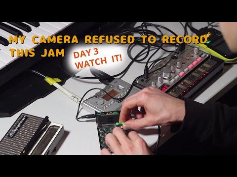 #Jamuary2020 Day 3 (Teenage Engineering Pocket Operator rhythm PO-12, px5d, volca bass, KO2)