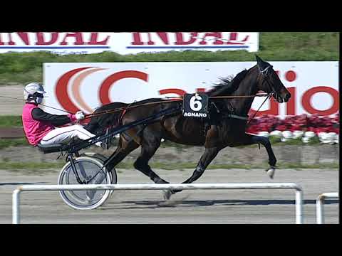 Napoli Trotto 17/03/2023 - 3ª corsa