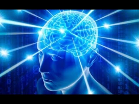 Genius Tarkov Billionaire risks it all on exciting factory run