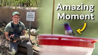 So Many Incredible Birds in Southeastern Arizona's Huachuca Mountains