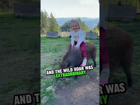 The Wild Boar Who Became a Family Pet ❤️
