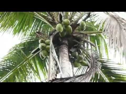 https://www.youtube.com/watch?v=hXWkr1QmZCs
