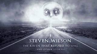 Steven Wilson - Drive Home guitar cover