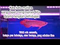Kaya Bijak Tentang Ikan Hias