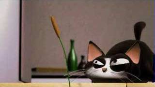 A funny 3d anymation a bout a cat funny cats
