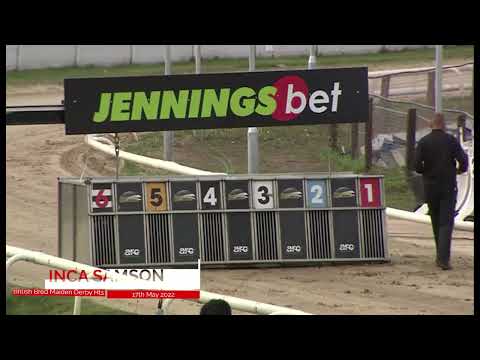 BGBF British Bred Maiden Derby Ht 2 - Inca Samson