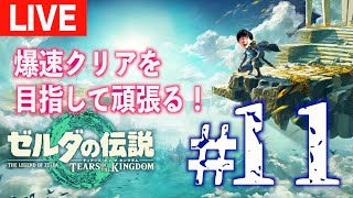 【#１１】今日はボス戦か？ゼルダの伝説 ティアーズ オブ ザ キングダムやっていく！