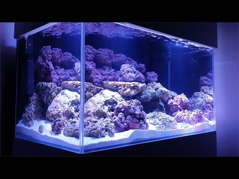 MY FIRST REEF TANK || Nano Aquarium Ep2: Aquascaping, Filtration and Cycling with Fluval Bacteria
