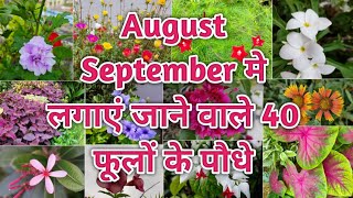 August &amp; September मे लगाएं जाने वाले पौधे और कटींग 40 Flowering Plants To Grow In August-September