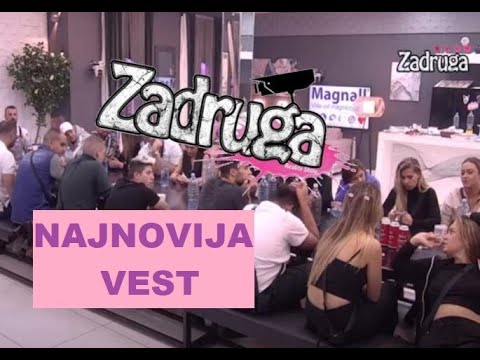 PUČE ISTINA PRED OČIMA - SVE o VELIKOM PRIJATELjSTVU ovih Zadrugara #zadruga #zadrugainfo