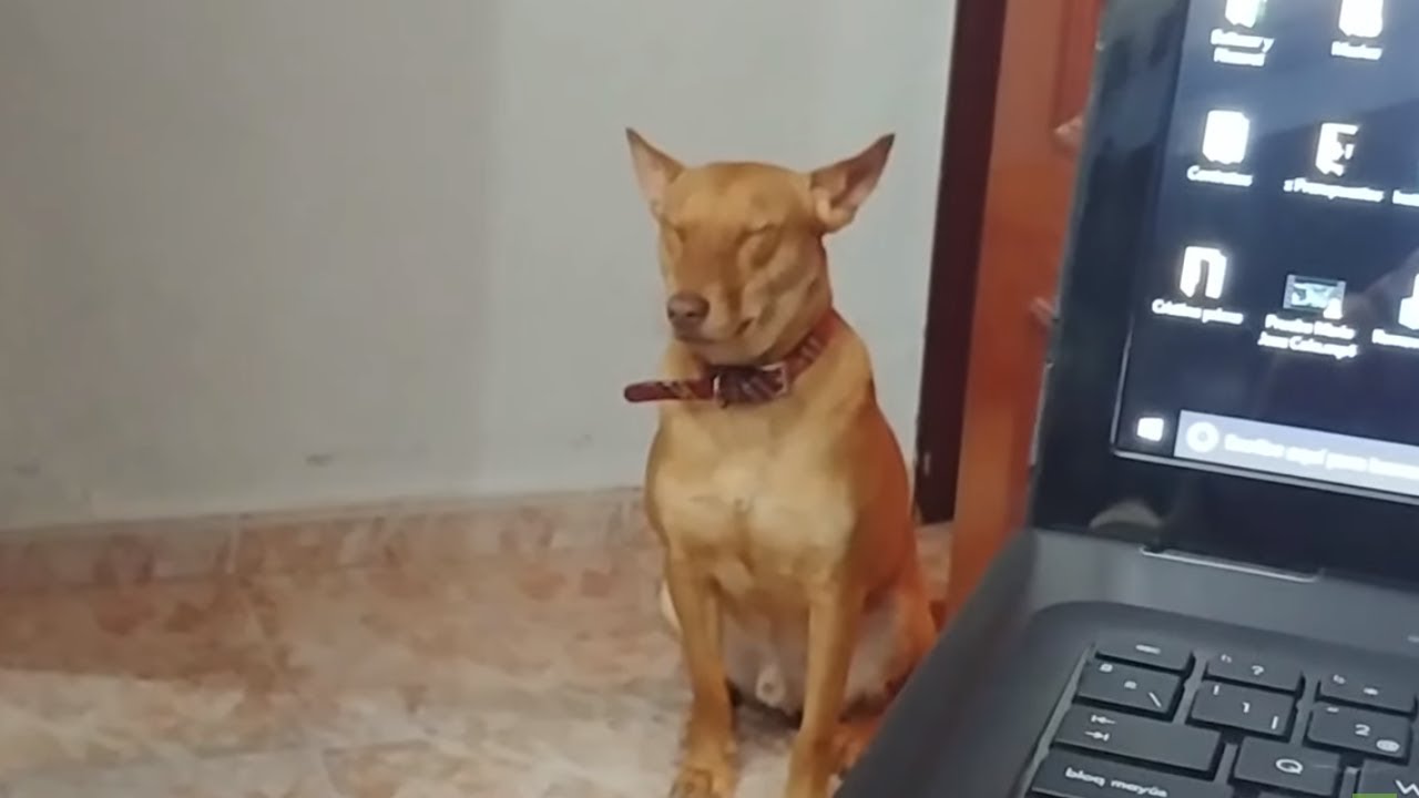 YouTube video preview