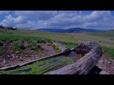 Statiunea Muntele Baisorii - Cheile Runcului