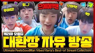 대환장 그 자체! 케리아의 자유 방송 모음집 [Keria Stream Highlight]