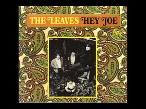 The Leaves - Love Minus Zero