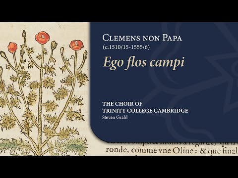 Clemens non Papa - Ego flos campi | The Choir of Trinity College Cambridge