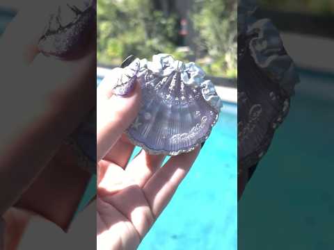 Poolside Glam Prepping for the Emmys & My Must Have Essentials!