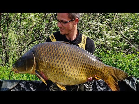 SBS Minuten – David Weber (Start in den Sommer)