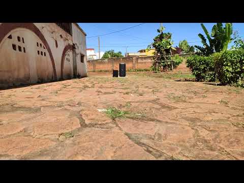 Bose S1 Pro vs JBL Party Box 310