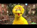 Marco Kozlowski Daily VLog 1 2 17 Sesame Street Porn And Sandwiches