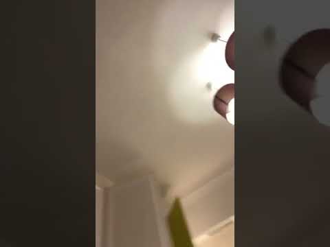 Pop Bianca Florina  - Amenintari intre clanuri