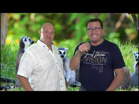 3-Sitza feat. Wolferl aus Wien - Loss des