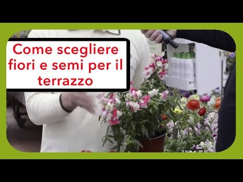 Pruriti nelle articolazioni gomito Artrosi del ginocchio è curabile o meno