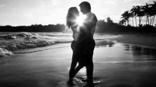 Black Lab  - Circus Light - See the Sun