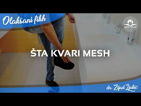 Šta kvari mesh - Dr. Zijad Ljakić