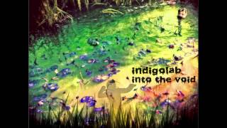 Indigolab - Into The Void [Full Album]