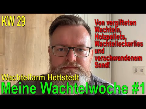 Meine Wachtelwoche #1 KW 29 - Wochenrückblick aller Wachtelvideos  - Wachtelfarm Hettstedt