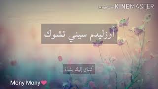 نطق وترجمة أغنية لا تذهب وتتركني beni birakip gitme