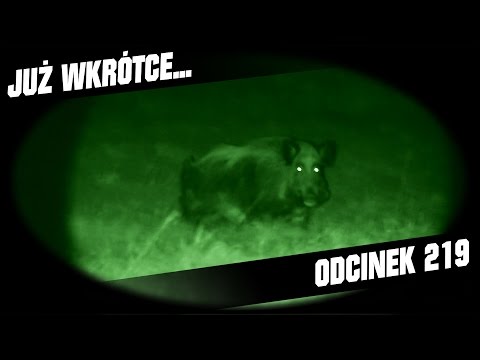 Darz Bór zapowiedź odcinka 219