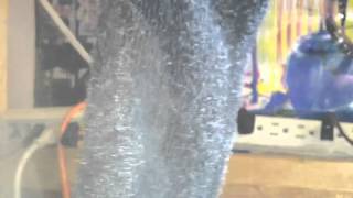 Fighting invisible biting mites & parasites...