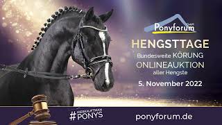 Video of Der erste Mai