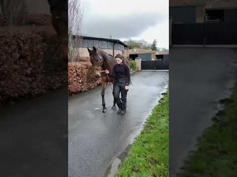 Walk R to L slow-mo