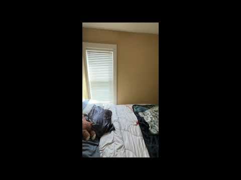 1000 E. Locust St. / 2906 N. Weil St. - Video 2 of 2