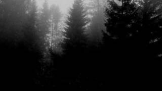 Nagelfar-Transilvanischer Hunger (Darkthrone Cover with Lyrics)