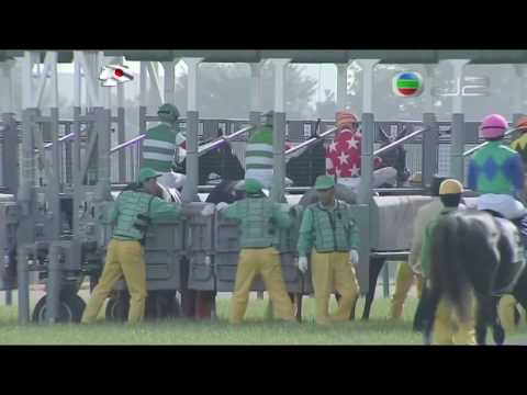 2016 Tokyo Yushun (Japanese Derby) G1 - Makahiki (豐收節) - Y.Kawada