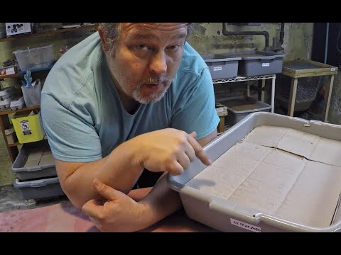 Newest 10-day old red wiggler worm bin's 1st feeding - vermicomposting