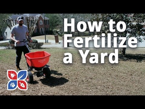  Do My Own Lawn Care - How to Fertilize the Lawn Video 