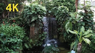 4K Yumenoshima Tropical Botanical Museum Tokyo Olympic Near the archery venue Japan trip 夢の島熱帯植物館
