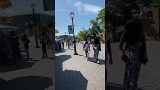 # 追蹤2隻小狗🐶🐶的行踪😬😬🤘🤘🇺🇸🇺🇸 Where are 2 cute doggy going ????   Please Support our YOU TUBE Channel 🙏❤️❤️