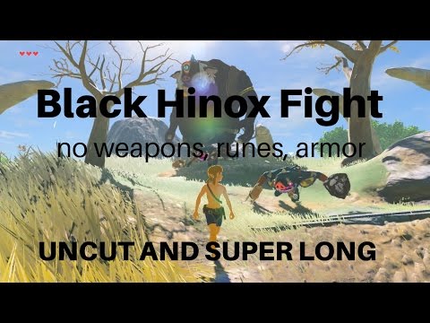 Fighting Black Hinox naked with literally nothing and a Bokoblin but it's 15 minutes long and uncut