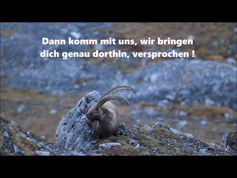 SteinbockTour 2019 "PUR-ERLEBEN.ch"