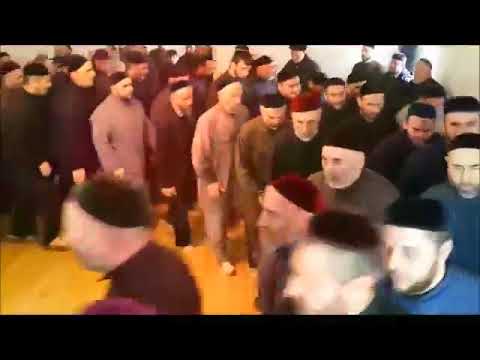 Tell me where the freaks at!