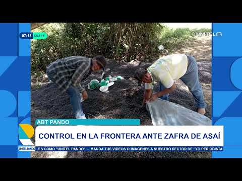ABT entrega mobiliario en Bella Flor y refuerza controles por zafra de asaí