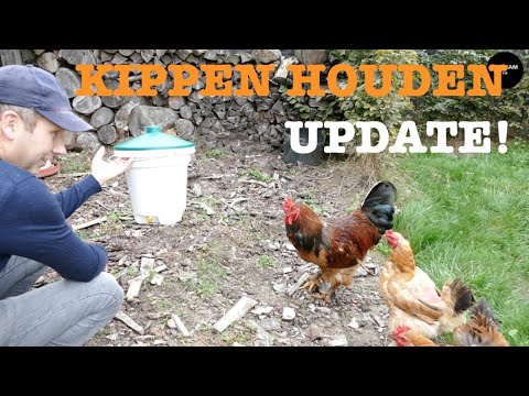 , title : 'Beginnen met kippen houden? | Kippen Update'