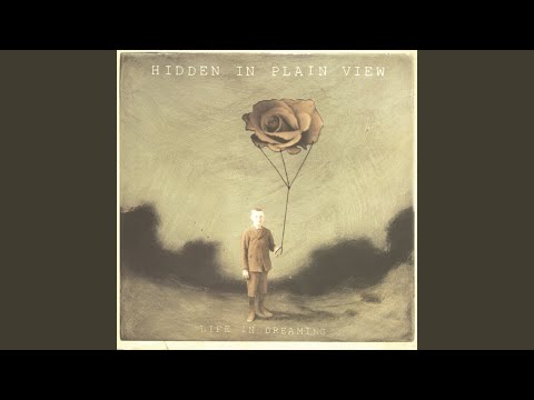 In Memory - Hidden in Plain View