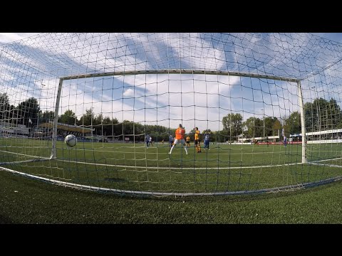 RVVH - Ter Leede Samenvatting  [doelcamera's]