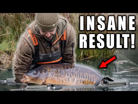 Spring CARP FISHING Tips and tactics at Combley lakes